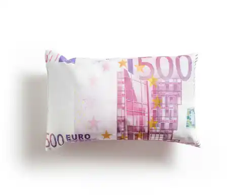 ⁨Pillow 500 EUR⁩ at Wasserman.eu