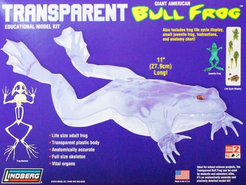 Model plastikowy Lindberg - Transparent Bull Frog (Przezroczysta żaba rycząca) w sklepie Wasserman.eu