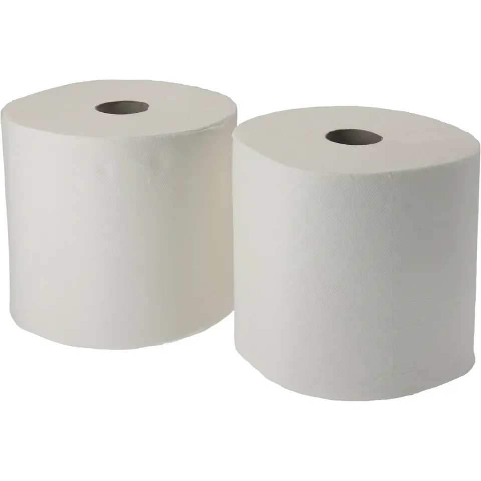 ⁨ECOTER CELLULOSE CLEANING PAPER ROLL 2 LAYERS 200M, 2PCS.⁩ at Wasserman.eu