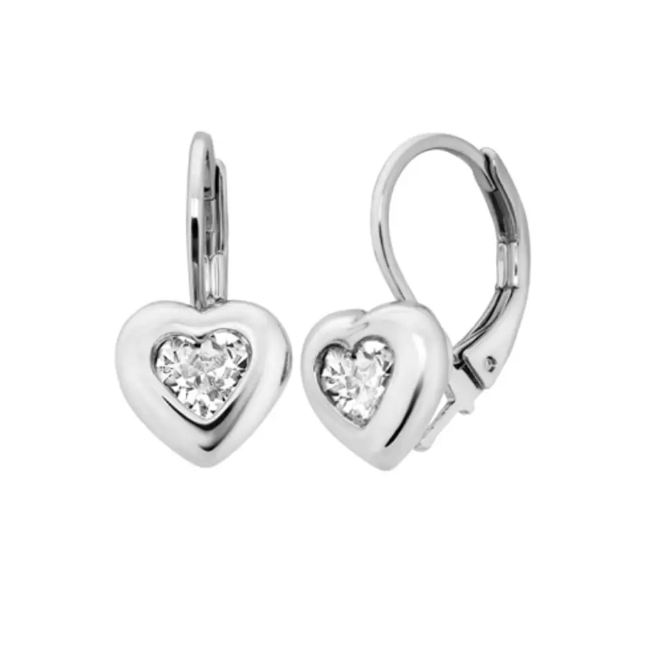 ⁨Subtle heart earrings (P14530AG)⁩ at Wasserman.eu