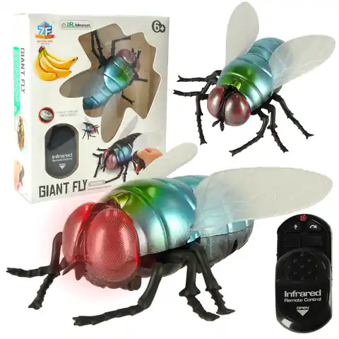 ⁨RC fly remote controlled + remote control⁩ at Wasserman.eu