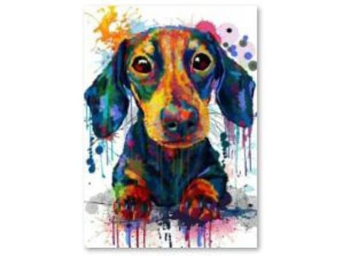 ⁨Diamond Embroidery, Painting, Diamond Mosaic Diamond Painting, DOG COLOR 30x40cm⁩ at Wasserman.eu