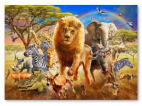 ⁨Diamond Embroidery, Painting, Diamond Mosaic Diamond Painting, ANIMALS OF AFRICA 40x30cm⁩ at Wasserman.eu