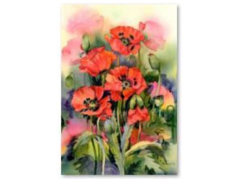 ⁨Diamond embroidery, picture, diamond mosaic diamond painting, poppies 30x40cm⁩ at Wasserman.eu