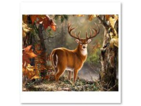 ⁨Diamond Embroidery, Painting, Diamond Mosaic Diamond Painting, DIGNIFIED DEER 40x30cm⁩ at Wasserman.eu