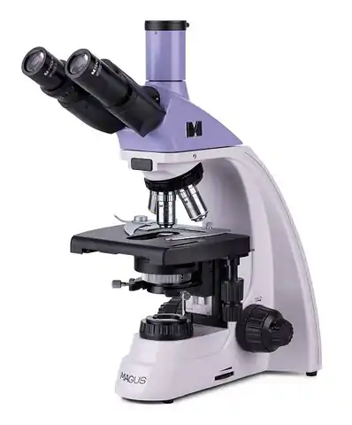⁨Mikroskop biologiczny MAGUS Bio 250TL⁩ w sklepie Wasserman.eu