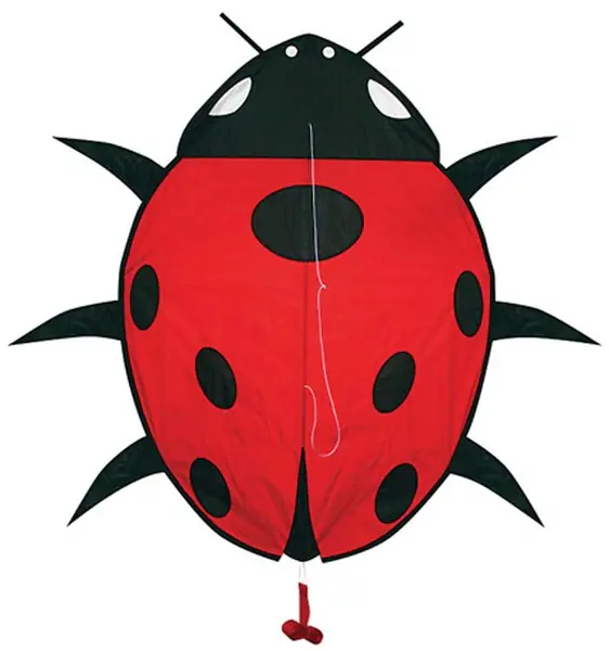 ⁨Kite SKYDOG - Lady Bug 39x28"⁩ at Wasserman.eu