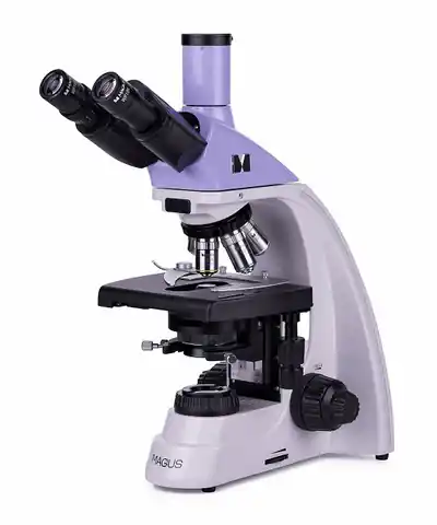 ⁨Mikroskop biologiczny MAGUS Bio 230T⁩ w sklepie Wasserman.eu