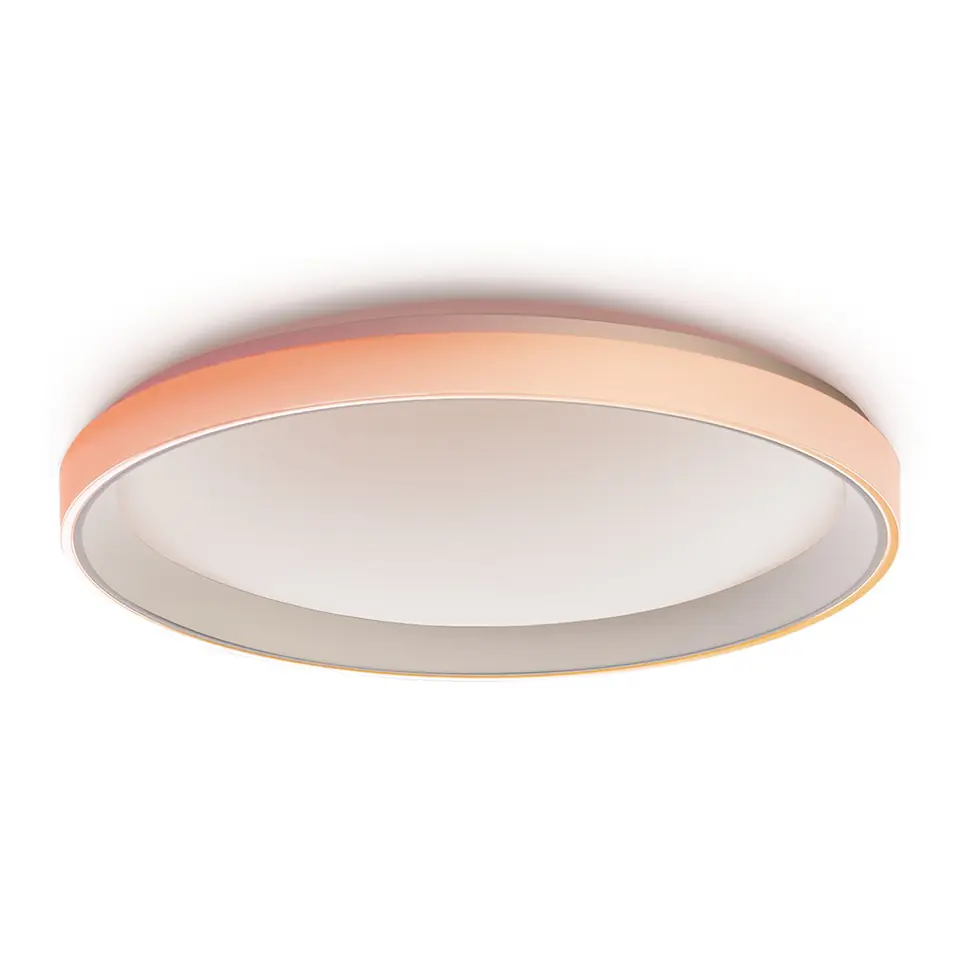 ⁨Aqara Ceiling Light T1M Smart Ceiling Light⁩ at Wasserman.eu