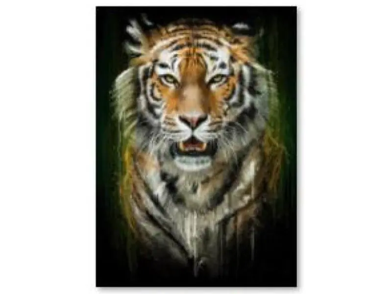 ⁨Diamond Embroidery, Painting, Diamond Mosaic Diamond Painting, TIGER 30x40cm⁩ at Wasserman.eu