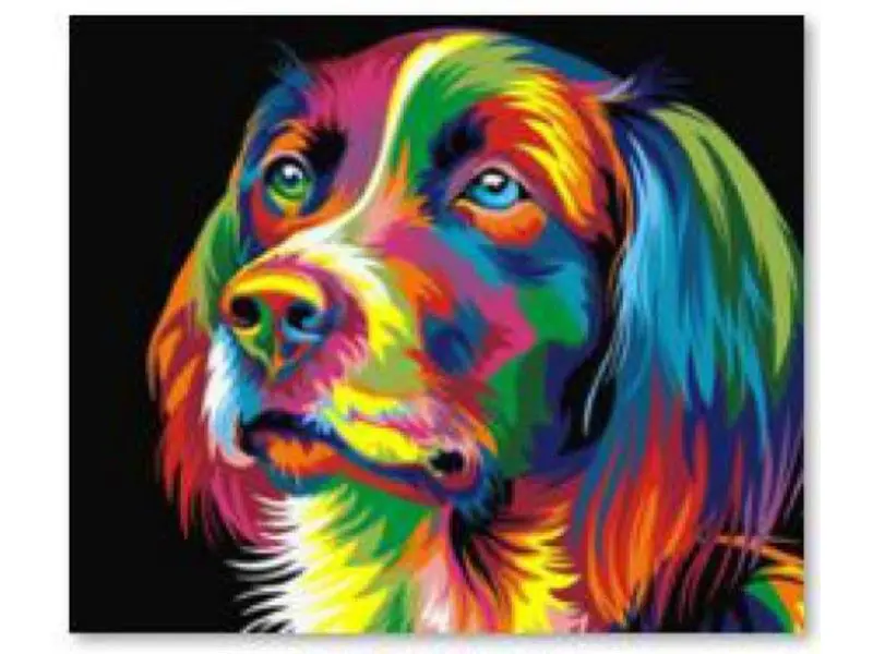 ⁨Diamond Embroidery, Painting, Diamond Mosaic Diamond Painting, DOG - COLOR 30x30cm⁩ at Wasserman.eu