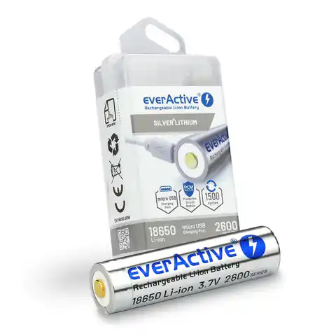 ⁨Battery everActive 18650 3.7V Li-ion 2600mAh micro USB with protection BOX⁩ at Wasserman.eu
