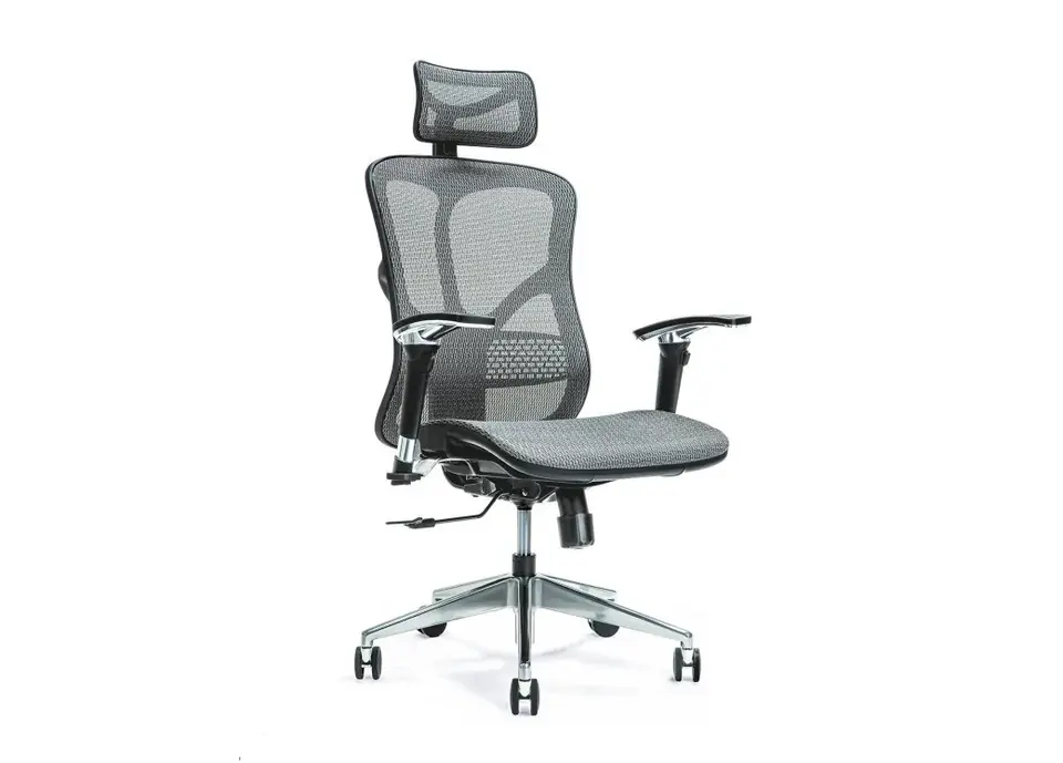 Ergonomiczny fotel biurowy ERGO 500 szary w sklepie Wasserman.eu
