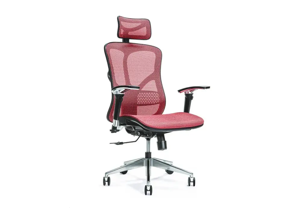 Ergonomiczny fotel biurowy ERGO 500 czerwony w sklepie Wasserman.eu