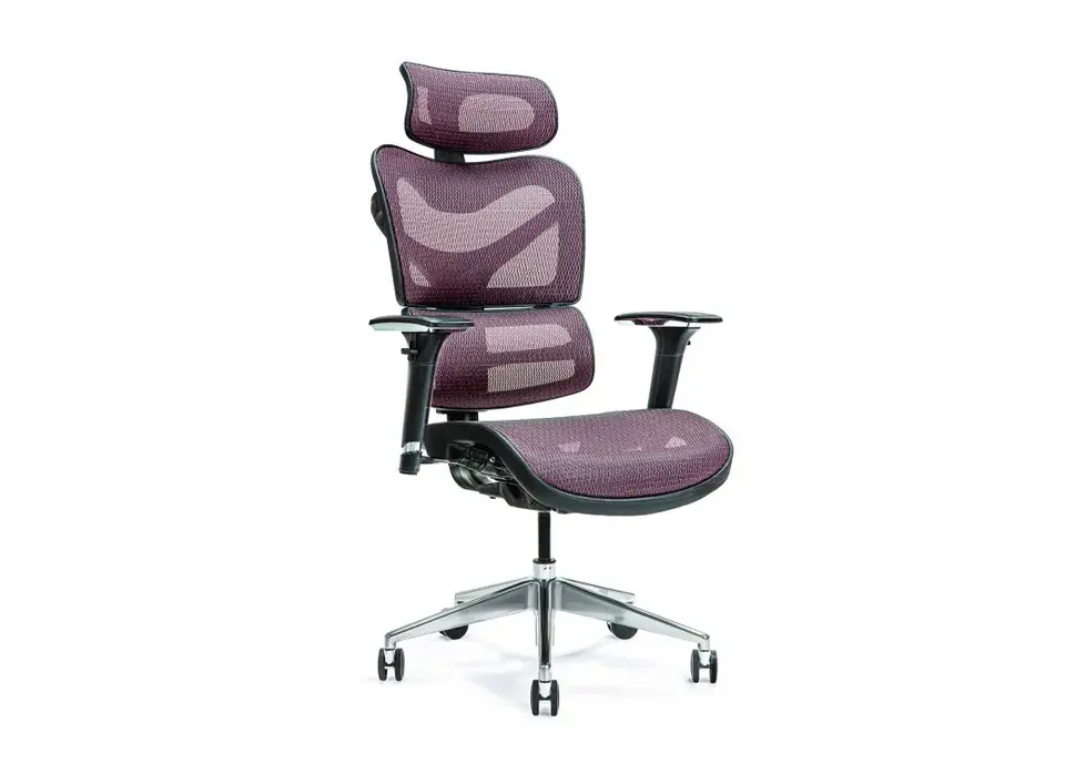 Ergonomiczny fotel biurowy ERGO 600 śliwkowy w sklepie Wasserman.eu