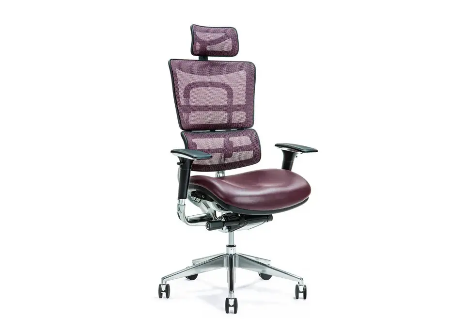 ⁨Ergonomic office chair ERGO 800 plum⁩ at Wasserman.eu