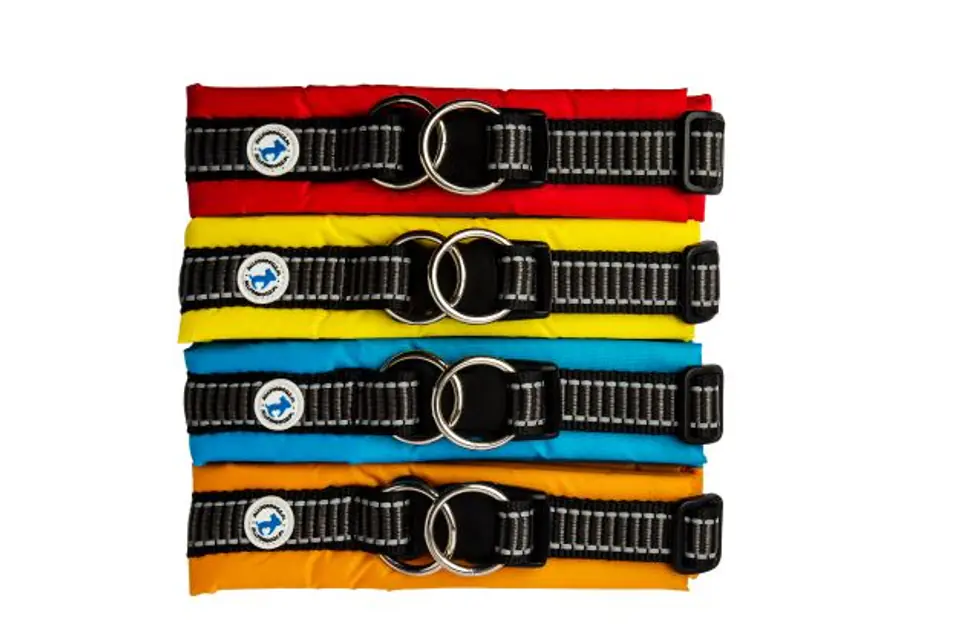 ⁨ALLE FÜR HUNDE Klassisches Halsband Gelb S⁩ im Wasserman.eu