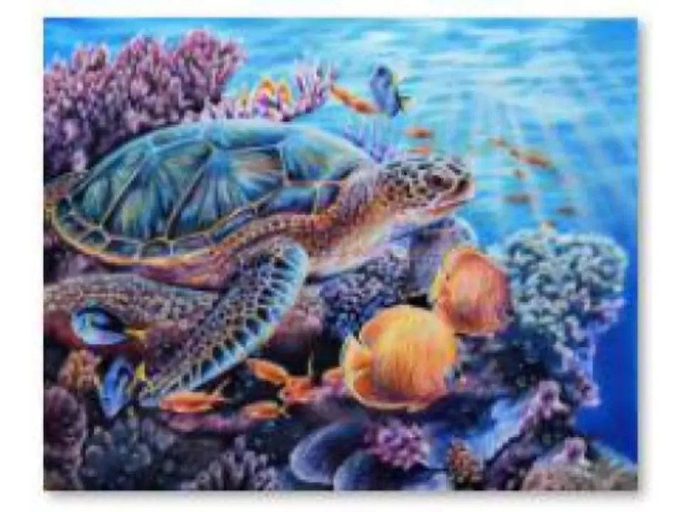 ⁨Diamond Embroidery, Painting, Diamond Mosaic Diamond Painting, CORAL REEF 40x30cm⁩ at Wasserman.eu