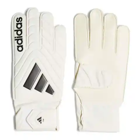 ⁨Rękawice bramkarskie adidas Copa Club M (kolor Biały, rozmiar 10)⁩ w sklepie Wasserman.eu