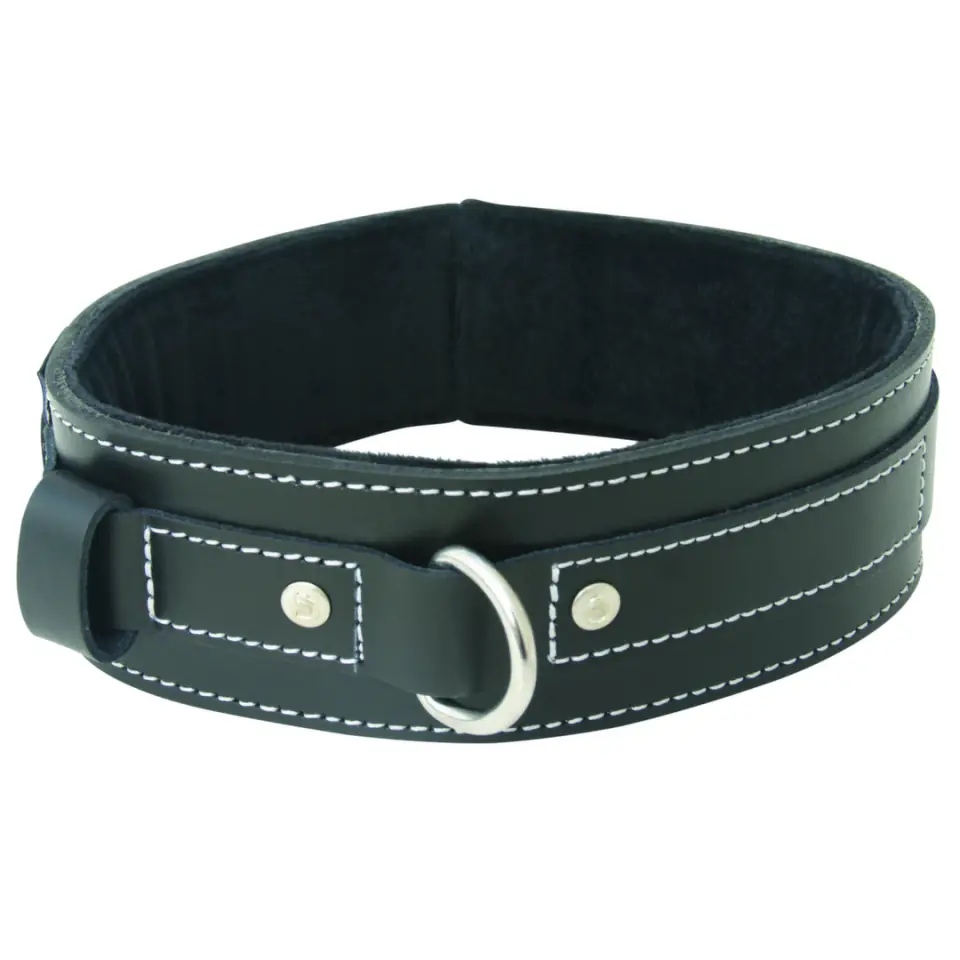 Sportsheets Edge Lined Leather Collar - skorzana obroża z miękką podbitką w sklepie Wasserman.eu