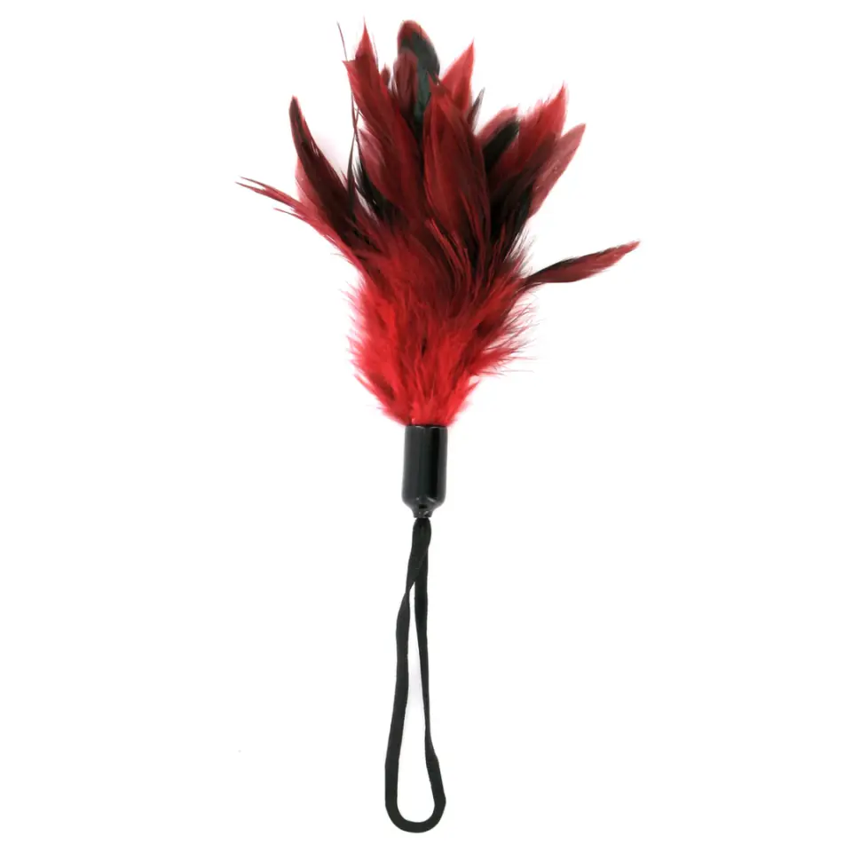 ⁨Piórko - Sportsheets Pleasure Feather Red⁩ w sklepie Wasserman.eu