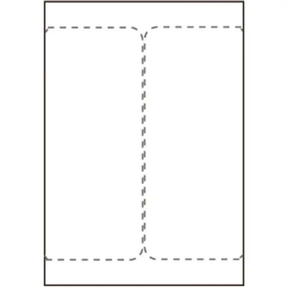 Capture Ship-label 105 x 220mm. For w sklepie Wasserman.eu