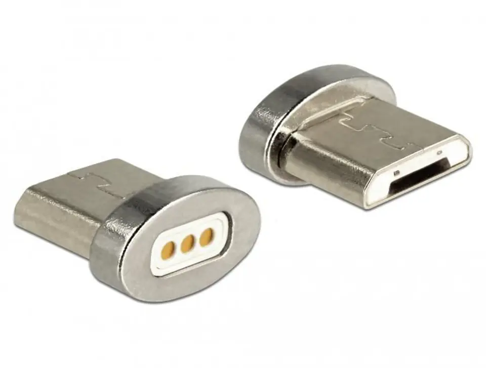 ⁨Delock Magnetic Adapter USB Type⁩ w sklepie Wasserman.eu