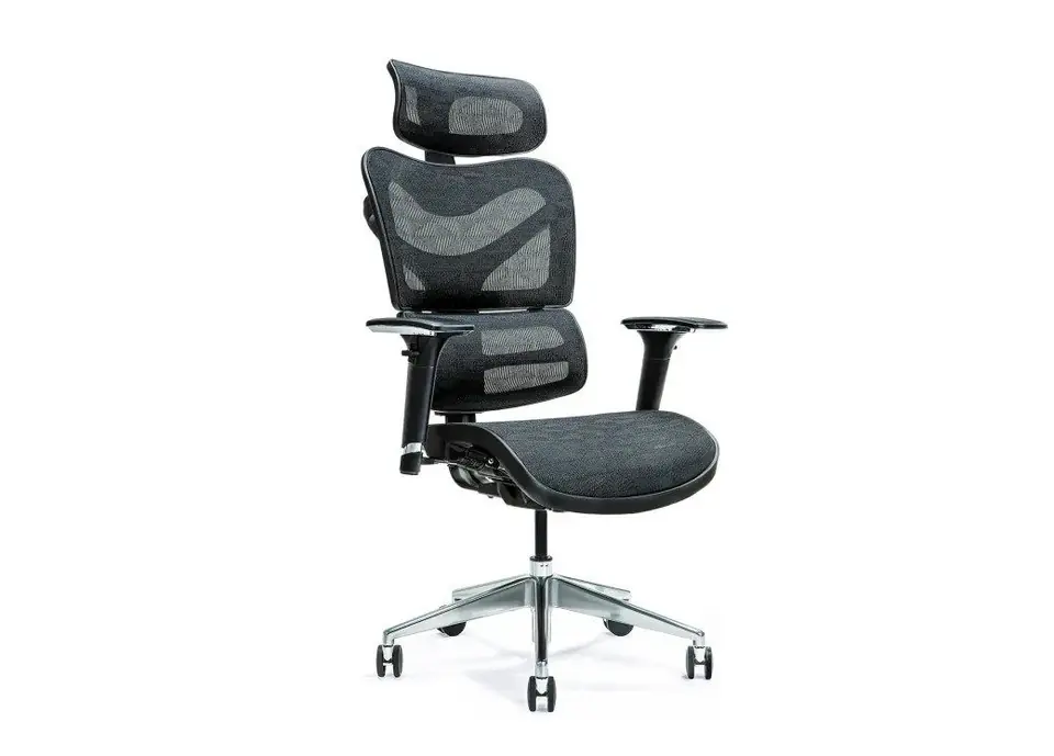 ⁨Ergonomic office chair ERGO 600 black⁩ at Wasserman.eu