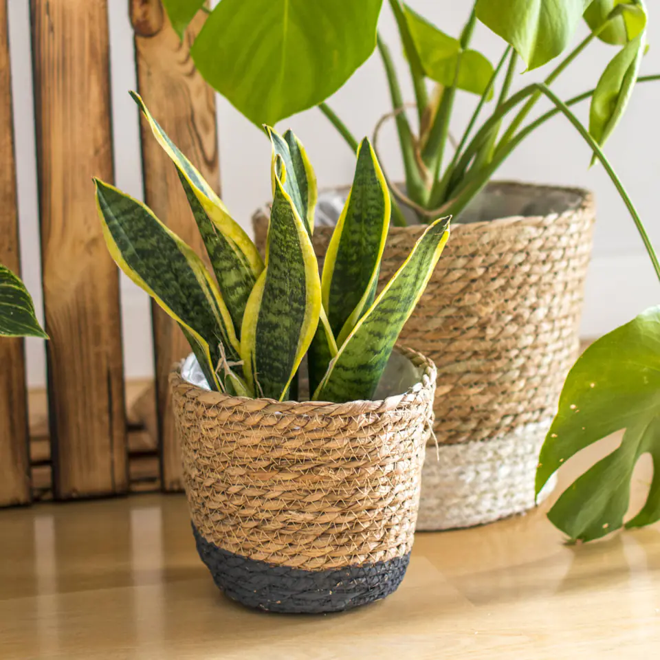 Basket casing Moroccan Black 17,5cm at Wasserman.eu