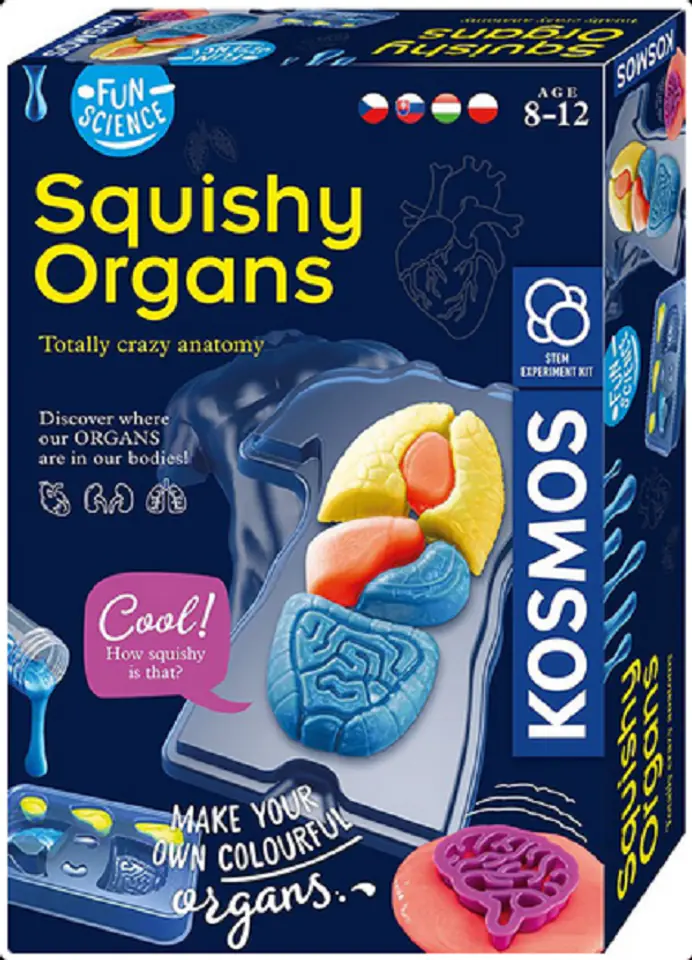 ⁨PIATNIK Fun Scienc-Squishy Organs⁩ w sklepie Wasserman.eu