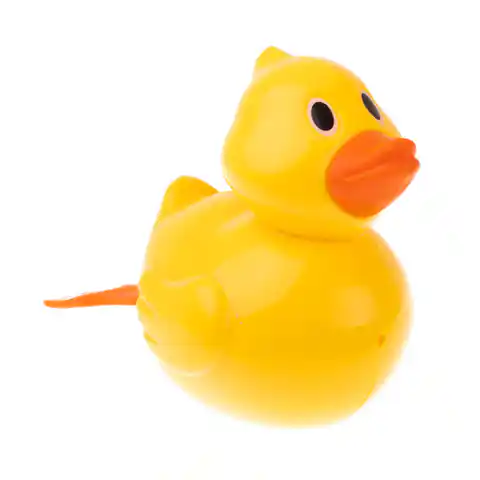 ⁨Bath toy wind-up floating duck⁩ at Wasserman.eu