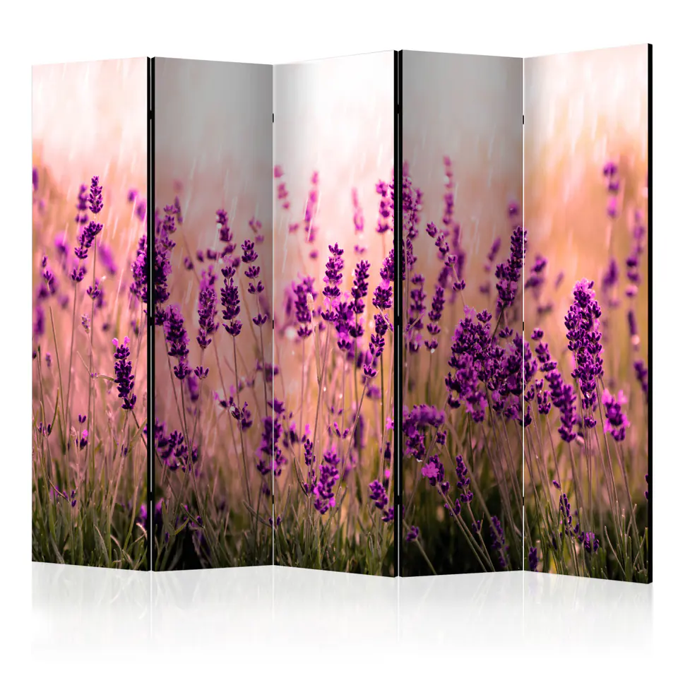 ⁨5-piece screen - Lavender in the rain II [Room Dividers] (size 225x172)⁩ at Wasserman.eu