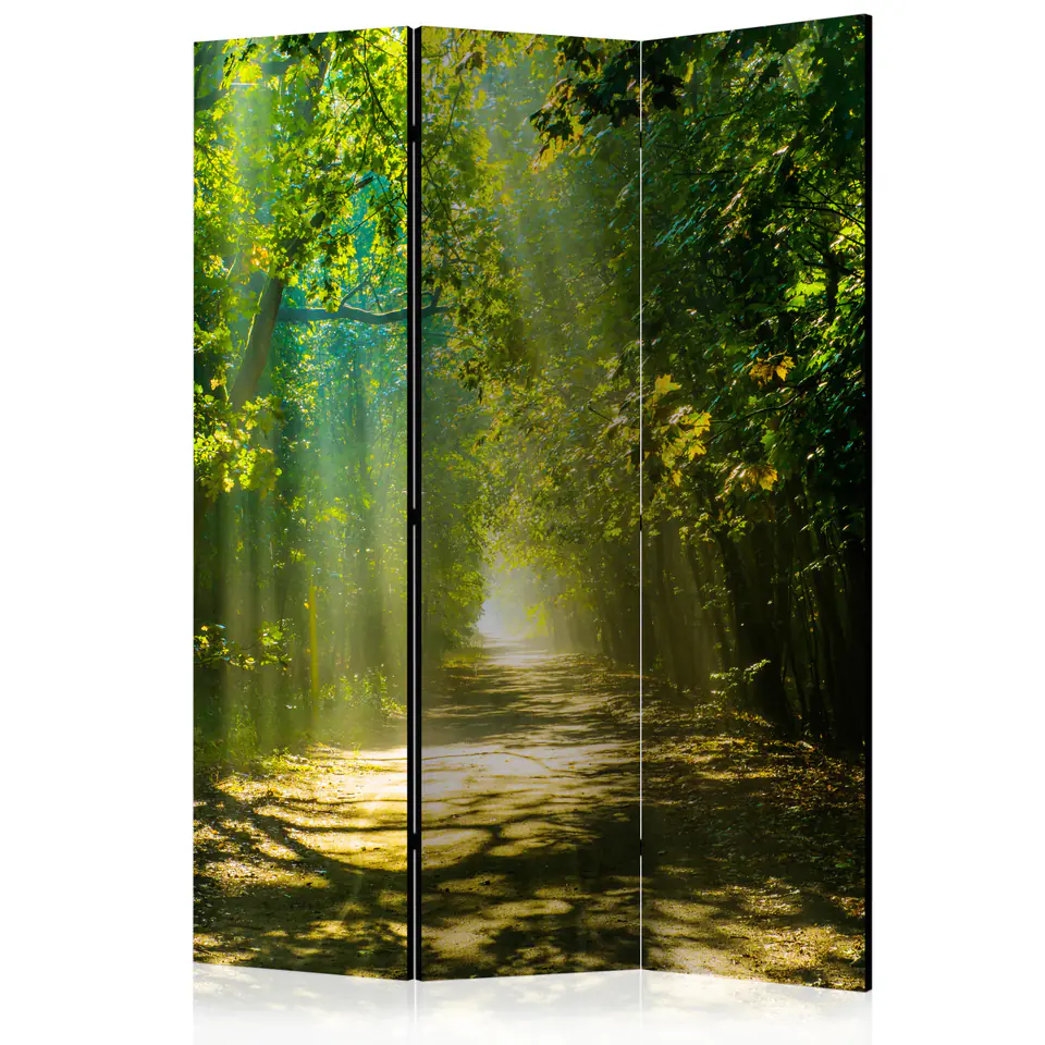 ⁨Parawan - Droga w słońcu [Room Dividers] (rozmiar 135x172, wykończenie Dwustronny)⁩ w sklepie Wasserman.eu