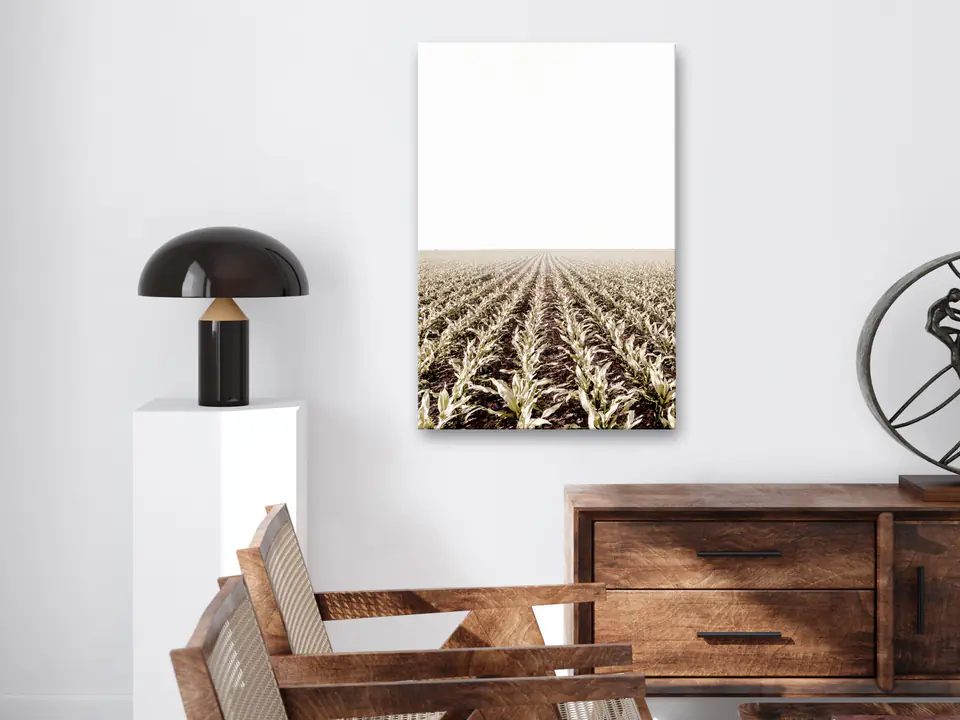 ⁨Obraz - Pole kukurydzy (1-częściowy) pionowy (rozmiar 40x60, wykończenie Premium Print)⁩ w sklepie Wasserman.eu