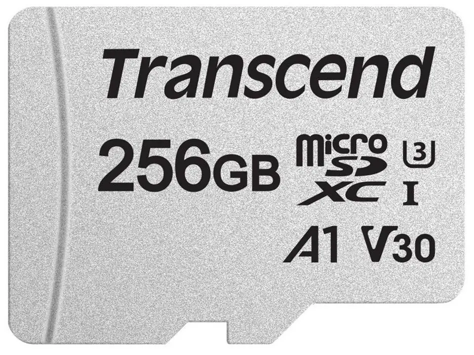 Karta pamięci TRANSCEND 256 GB Adapter w sklepie Wasserman.eu