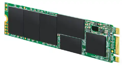 ⁨Dysk SSD TRANSCEND TS1TMTS832S (M.2 2280″ /1 TB /SATA III (6 Gb/s) /560MB/s /500MB/s)⁩ w sklepie Wasserman.eu
