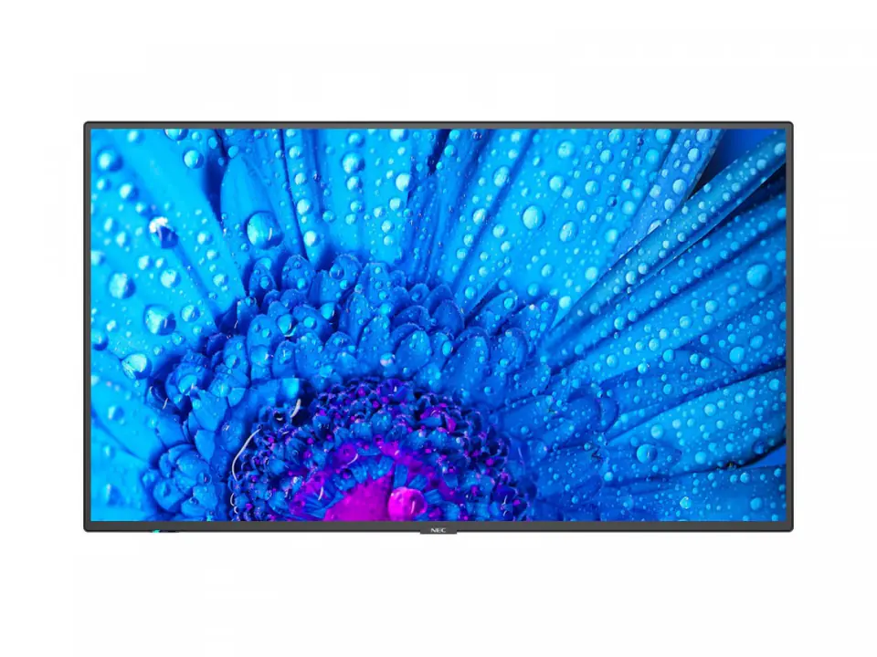 ⁨Monitor NEC 60005067 (86" /IPS /60Hz /3840 × 2160 /Czarny )⁩ w sklepie Wasserman.eu