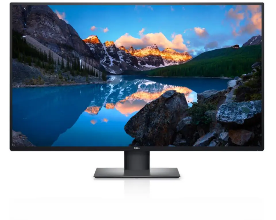 ⁨Monitor DELL 210-BFIS (42.5" /TFT IPS /60Hz /3840 x 2160 /Czarny )⁩ w sklepie Wasserman.eu