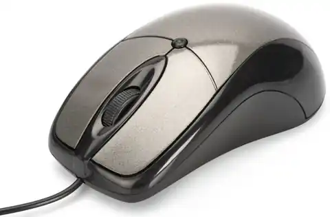 ⁨Wired mouse EDNET 81046⁩ at Wasserman.eu