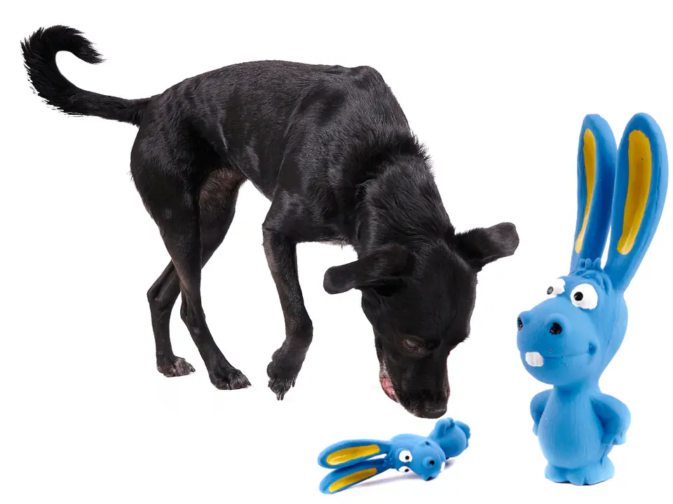 Zabawka dla psa gryzak gumowy królik 16,5cm w sklepie Wasserman.eu