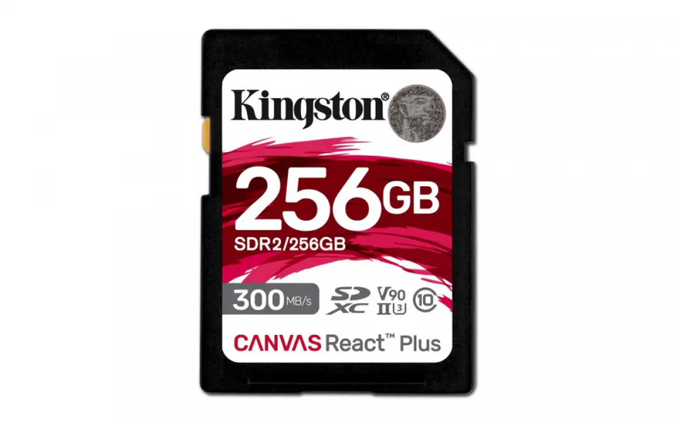 ⁨Karta pamięci KINGSTON 256 GB⁩ w sklepie Wasserman.eu