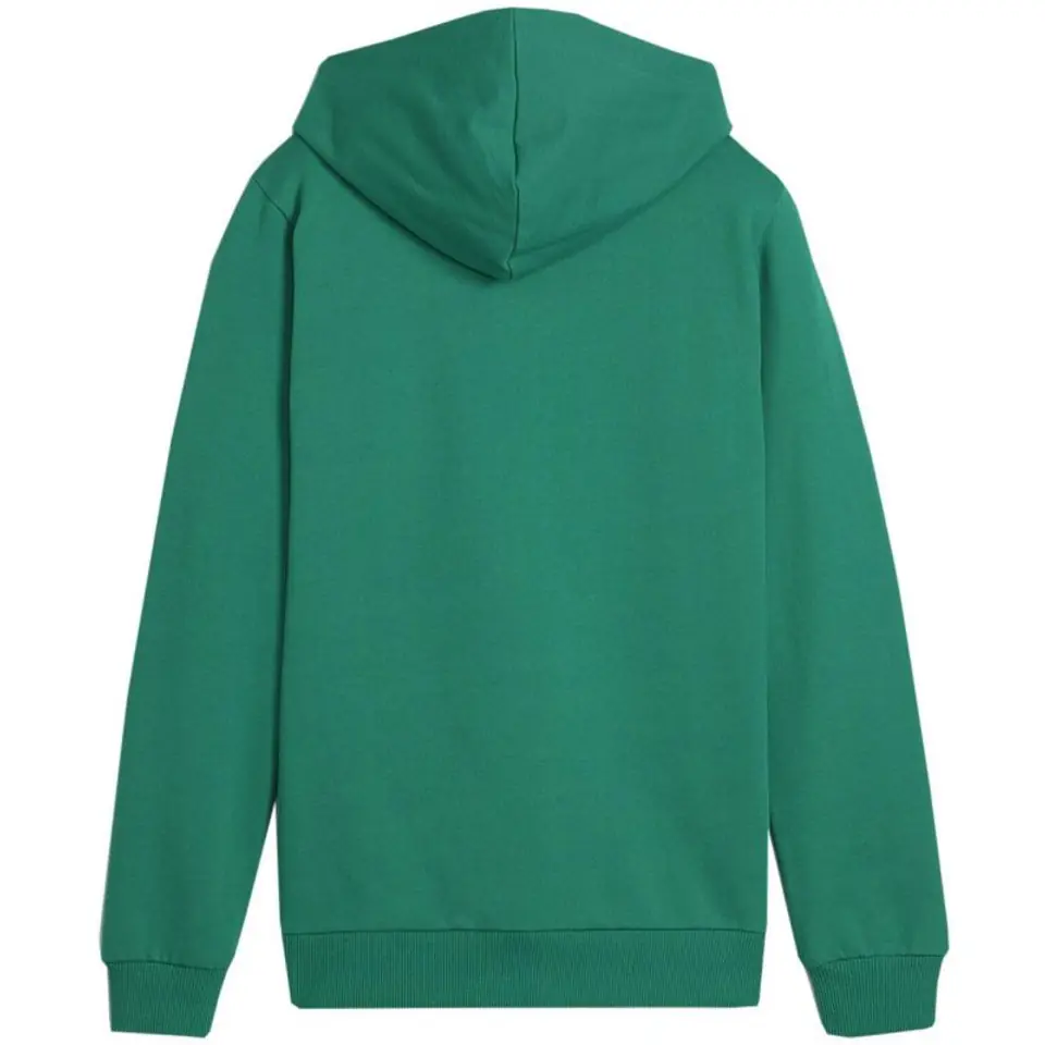 ⁨Bluza dla dzieci Puma Team Goal Casuals Hoddy zielona 658619 05 152cm⁩ at Wasserman.eu