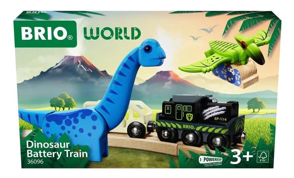 ⁨Dino Battery Operated Train⁩ at Wasserman.eu