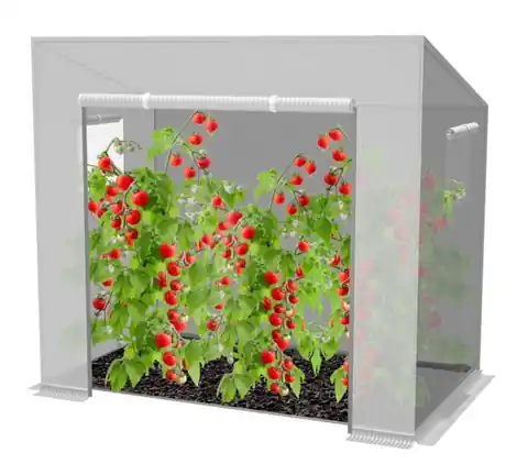 ⁨Szklarnia ogrodowa warzywniak tunel foliowy na pomidory biała 200 x 77 x 168/146 cm⁩ w sklepie Wasserman.eu