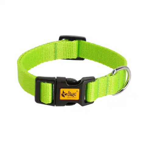 ⁨DINGO Energy green - dog collar - 20-28 cm⁩ at Wasserman.eu