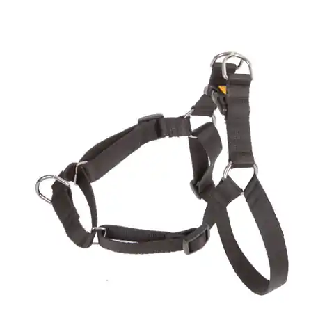 ⁨DINGO Easy Walk - Dog harness - 52-74 cm⁩ at Wasserman.eu