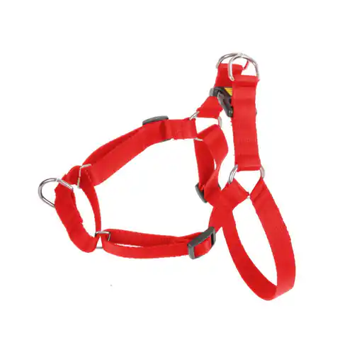 ⁨DINGO Easy Walk - Dog harness - 95-125 cm⁩ at Wasserman.eu