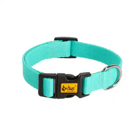 ⁨DINGO Energy mint - dog collar - 37-61 cm⁩ at Wasserman.eu