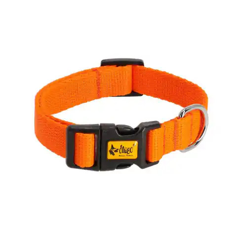 ⁨DINGO Energy orange - dog collar - 37-61 cm⁩ at Wasserman.eu