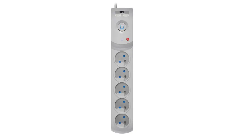 ⁨Przedłużacz przeciwprzepięciowy professional 5 gniazd 2xUSB 5m 10A 230V 2300W szary W-100042⁩ w sklepie Wasserman.eu